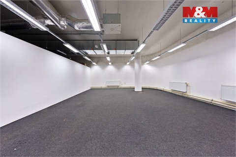 Pronájem obchodních prostor, 230 m² 6