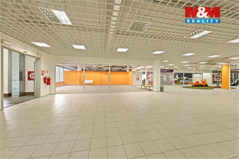 Pronájem obchodních prostor, 230 m² - 4
