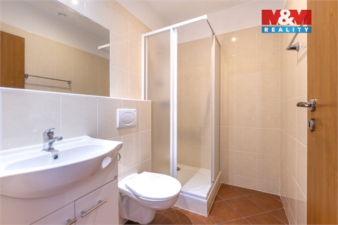 Prodej rodinného domu, 310 m² 10