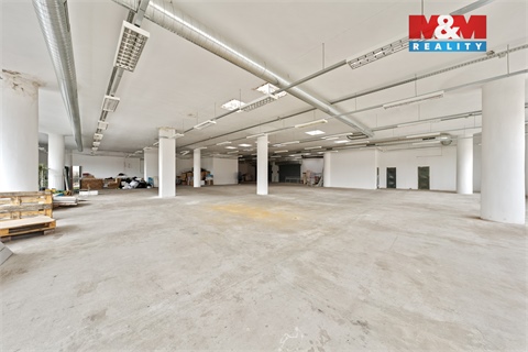 Pronájem obchodních prostor, 666 m² - 0
