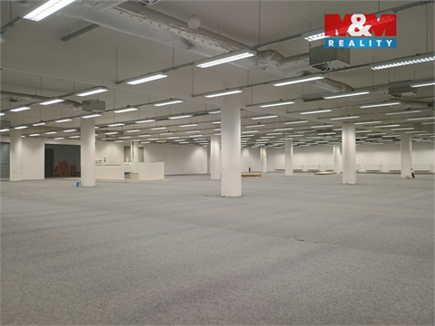 Pronájem obchodních prostor, 2 013 m² 4