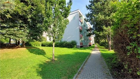 Pronájem bytu 1kk, 24 m² - 8