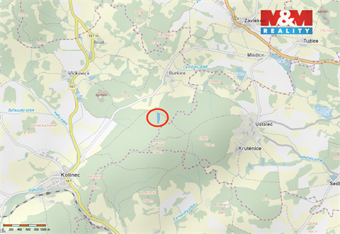 Prodej lesu, 11 912 m² - 0