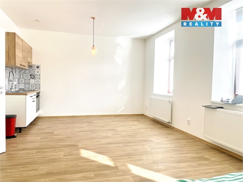 Pronájem bytu 1kk, 46 m² - 4