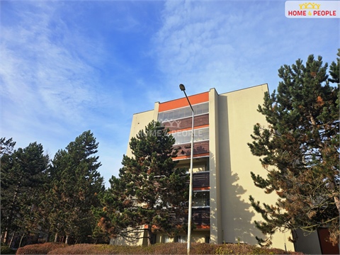 Pronájem bytu 3+1, 89 m² 20