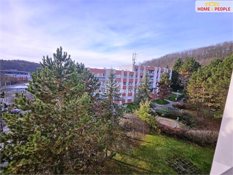 Pronájem bytu 3+1, 89 m² 24