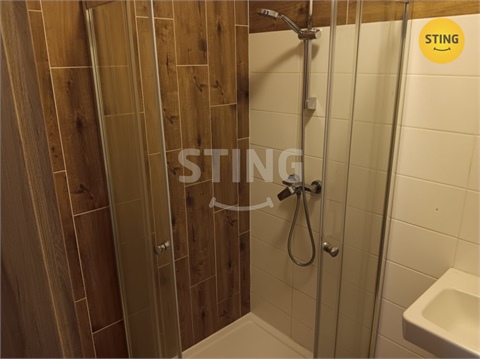 Pronájem bytu 3kk, 80 m² 10