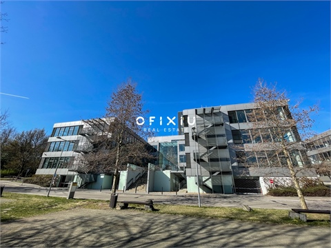 Pronájem obchodních prostor, 135 m² 2