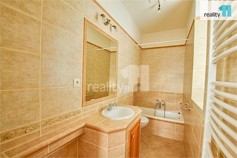 Pronájem bytu 2+1, 65 m² - 12