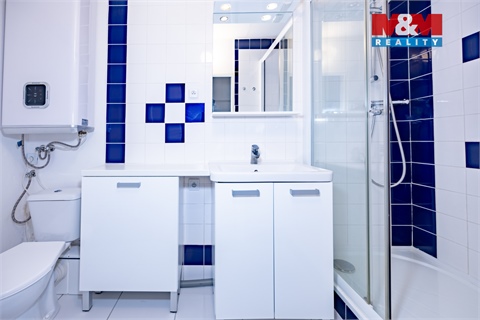 Prodej bytu 1+1, 45 m² - 10