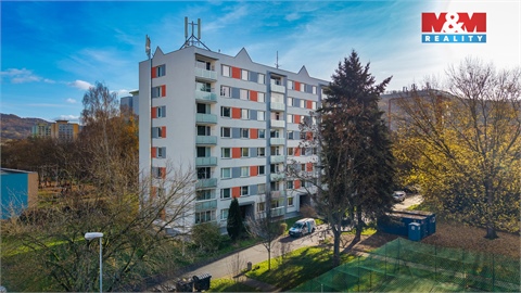 Prodej bytu 3+1, 60 m² 28