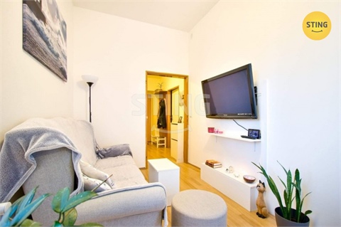 Pronájem bytu 1+1, 43 m² 0