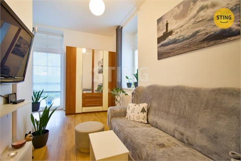 Pronájem bytu 1+1, 43 m² - 0