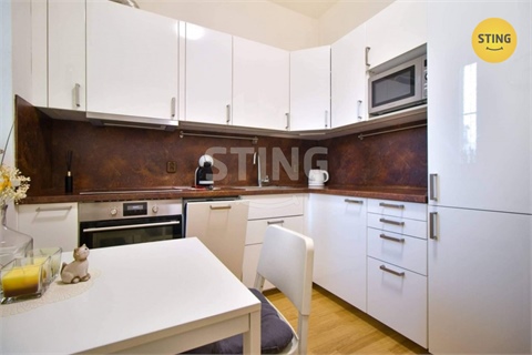 Pronájem bytu 1+1, 43 m² 2