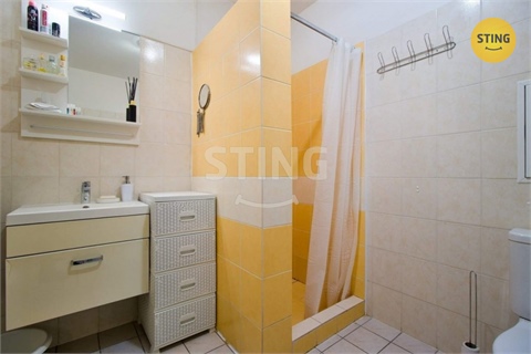 Pronájem bytu 1+1, 43 m² 6