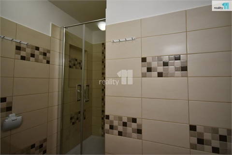 Pronájem bytu 1+1, 33 m² 12