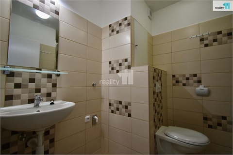 Pronájem bytu 1+1, 33 m² - 10