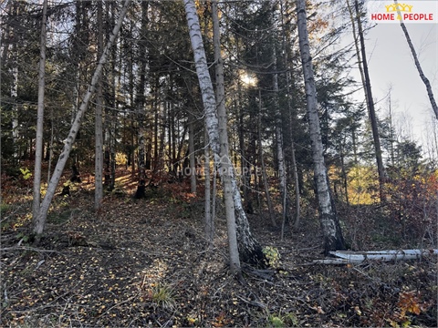 Prodej stavebního pozemku, 3 129 m² 14