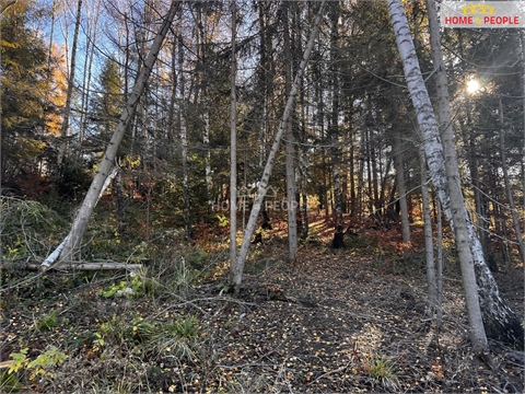 Prodej stavebního pozemku, 3 129 m² 16