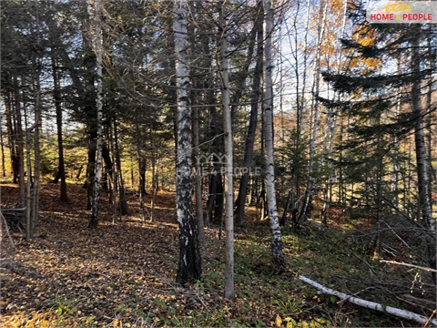 Prodej stavebního pozemku, 3 129 m² 12