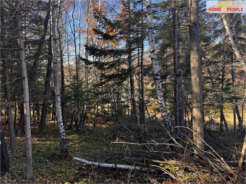 Prodej stavebního pozemku, 3 129 m² - 10