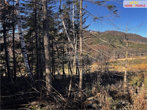 Prodej stavebního pozemku, 3 129 m² 10