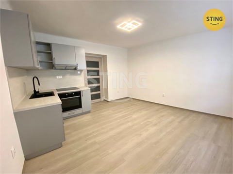 Pronájem bytu 1kk, 25 m² 2