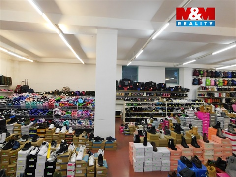 Pronájem obchodních prostor, 2 400 m² 6