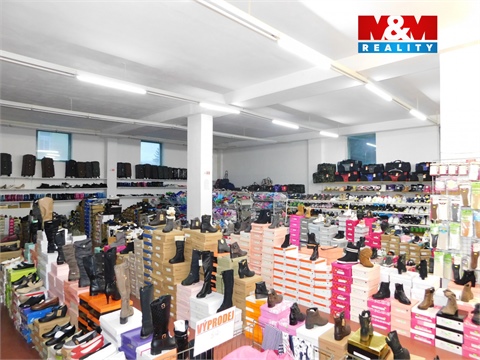 Pronájem obchodních prostor, 2 400 m² 4