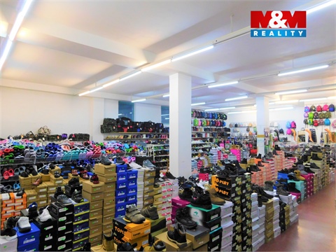 Pronájem obchodních prostor, 2 400 m² - 4