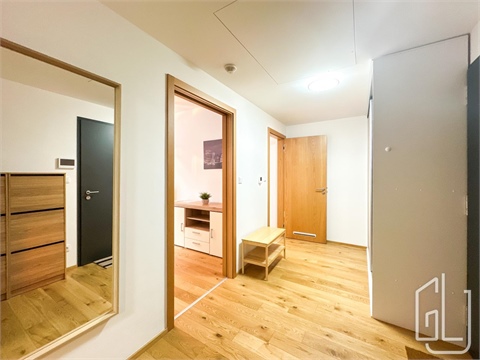 Pronájem bytu 2kk, 55 m² - 8