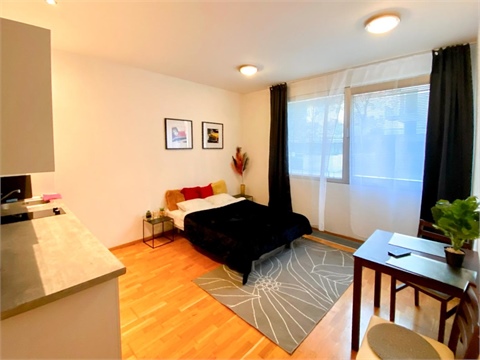 Pronájem bytu 1kk, 30 m² 0