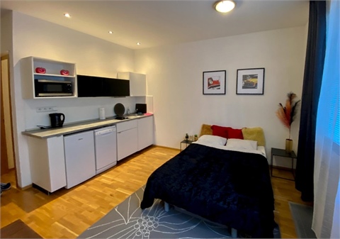 Pronájem bytu 1kk, 30 m² - 0