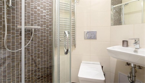 Pronájem bytu 1kk, 30 m² 4