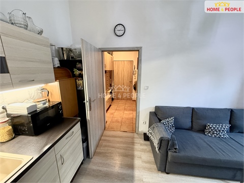 Pronájem bytu 3kk, 55 m² 22