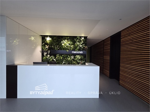 Pronájem komerčního objektu, 26 m² - 10