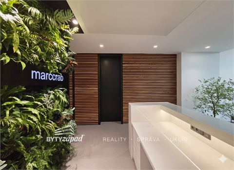 Pronájem komerčního objektu, 26 m² 10