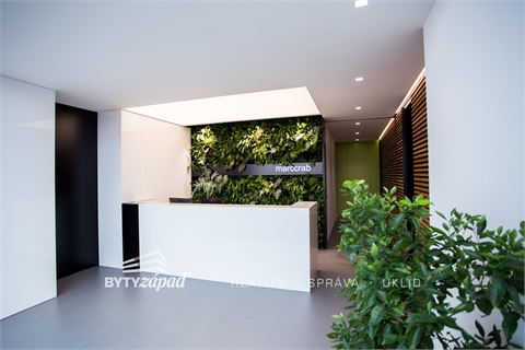 Pronájem komerčního objektu, 26 m² - 8