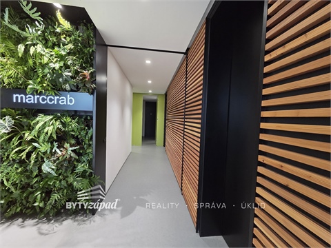 Pronájem komerčního objektu, 26 m² - 12