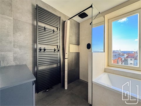 Pronájem bytu 2kk, 66 m² 4