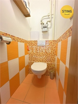 Prodej bytu 3+1, 73 m² 22