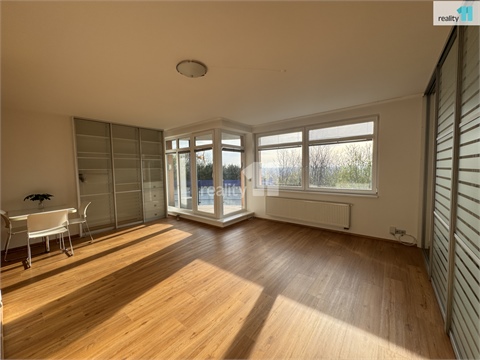 Pronájem bytu 1kk, 45 m² - 2