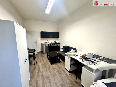 Pronájem obchodních prostor, 411 m² 10