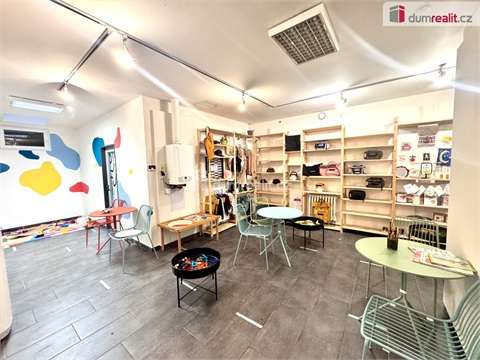 Pronájem obchodních prostor, 411 m² - 18