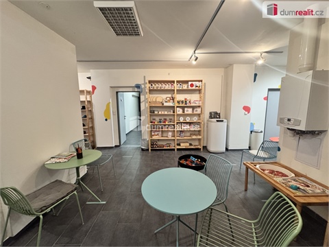 Pronájem obchodních prostor, 411 m² 20