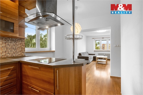 Pronájem bytu 2+1, 51 m² 4