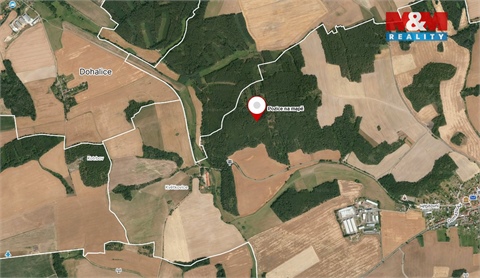 Prodej lesu, 13 001 m² - 6