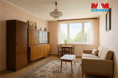 Prodej bytu 3+1, 65 m² 12