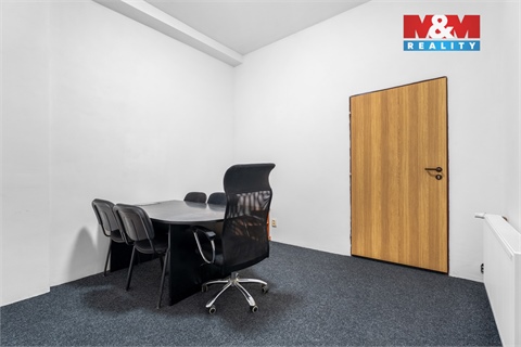 Pronájem obchodních prostor, 740 m² 14