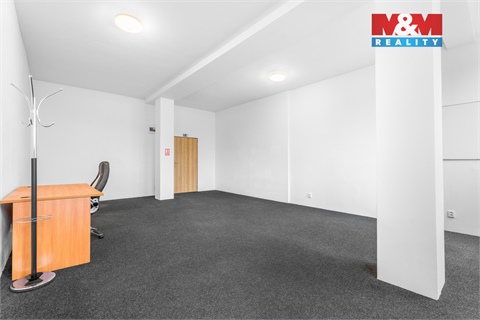 Pronájem obchodních prostor, 740 m² - 12